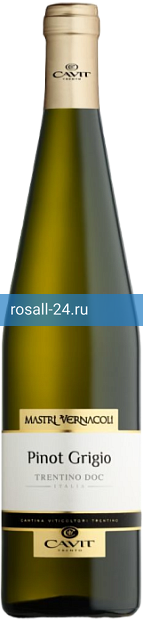 Вино Мастри Вернаколи Пино Гриджио